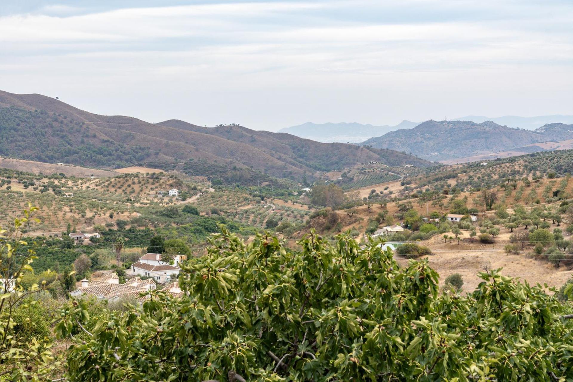 Malagasuite Cortijo Robles Casarabonela Ngoại thất bức ảnh